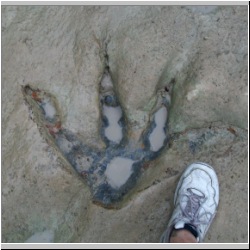 100_0704 (2009-27-07)m.JPG